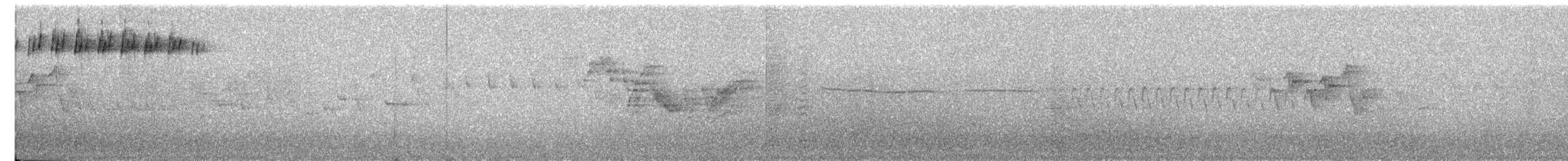 Blackpoll Warbler - ML584201211