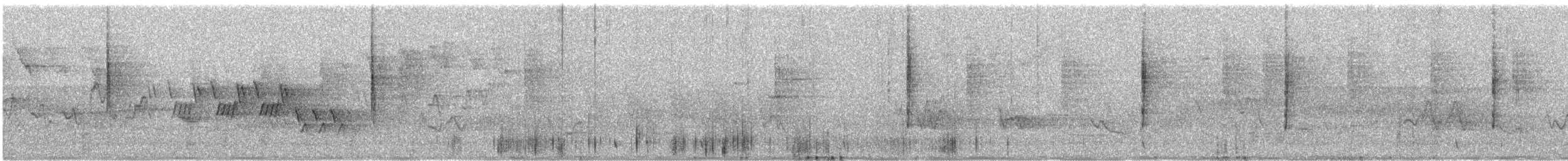 Черногорлая хвойница - ML584201561