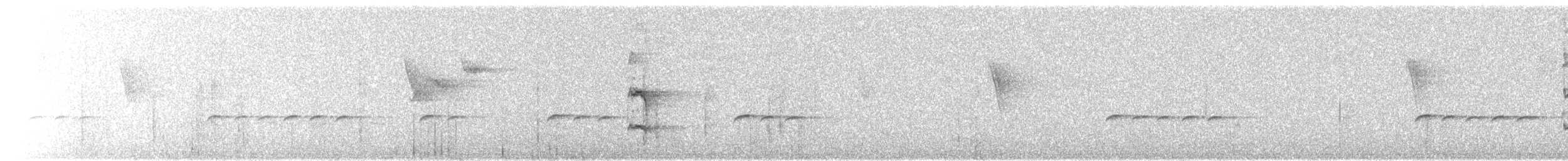 hvitnakkehonningeter - ML584213611