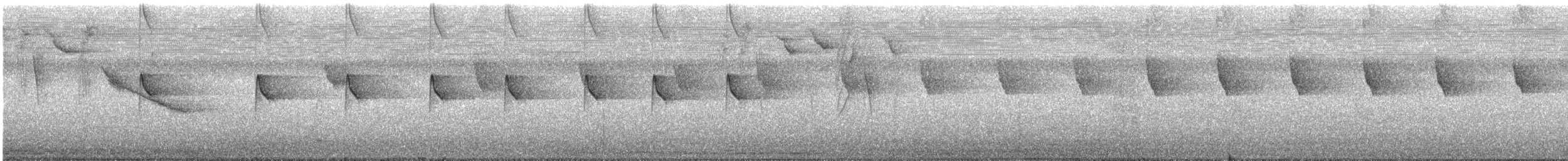 Kara Başlı Todi Sinekkapanı - ML584219101