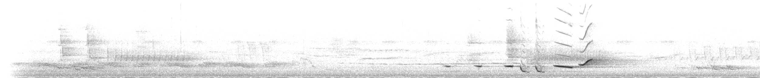 Серогрудый питуи - ML58422771