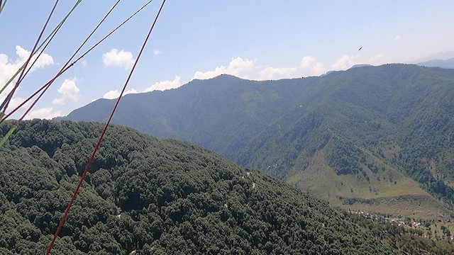 עקב עיטי - ML584256981