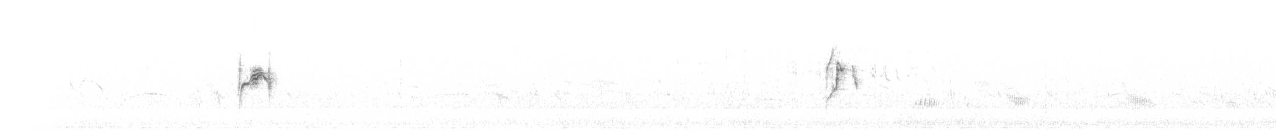 Жёлтая трясогузка (Черноголовая) - ML584264891