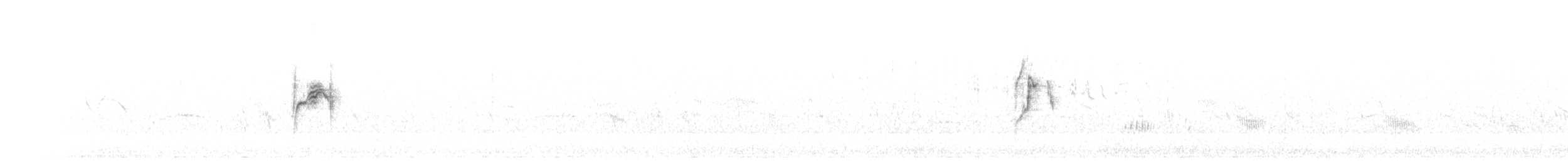 Western Yellow Wagtail (feldegg) - ML584264891
