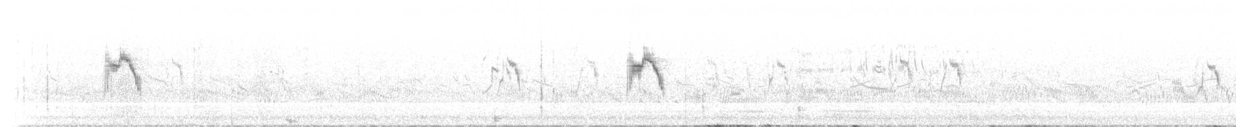 konipas luční (ssp. feldegg) - ML584265561