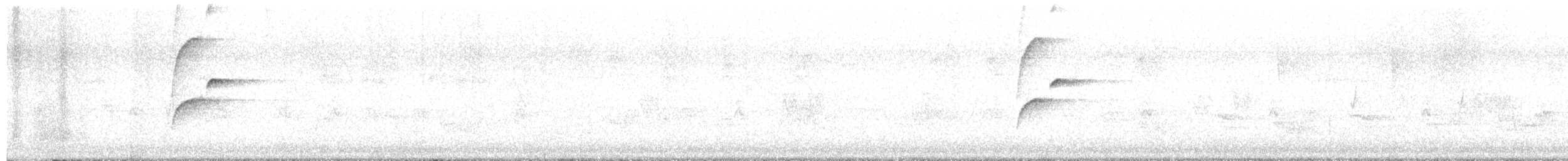 Batı Amerika Sinekkapanı (occidentalis/hellmayri) - ML584288951