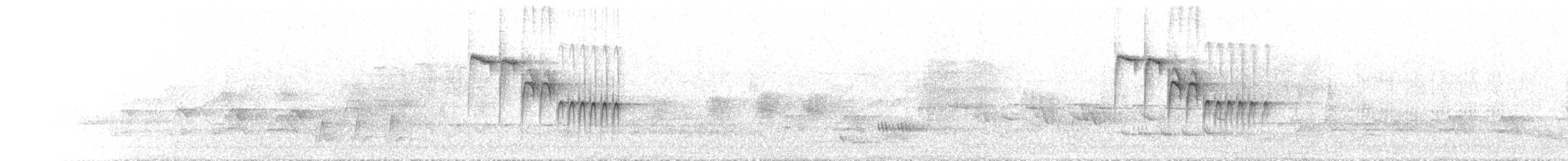 Mésange azurée (groupe cyanus) - ML584292851