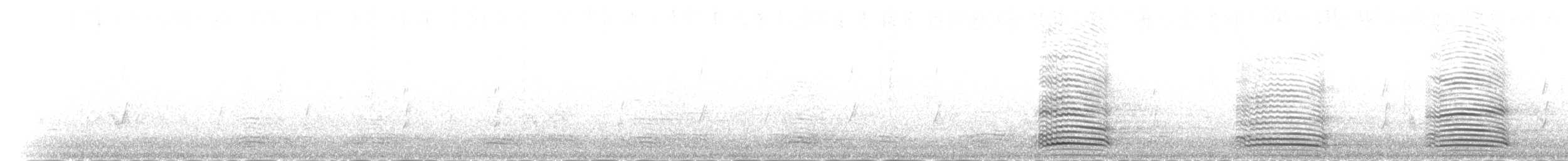Torreskrähe - ML58430531