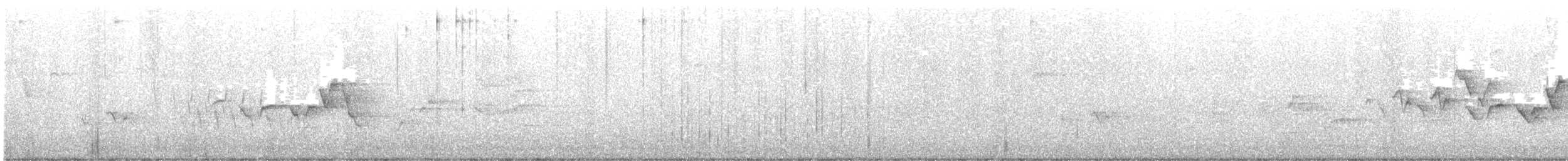 Hooded Warbler - ML584308301