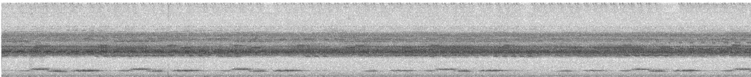 Starred Wood-Quail - ML584309471