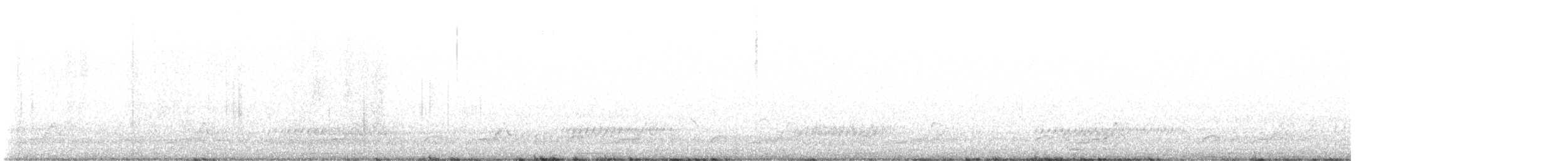 Schwarzkehl-Nachtschwalbe - ML584311321