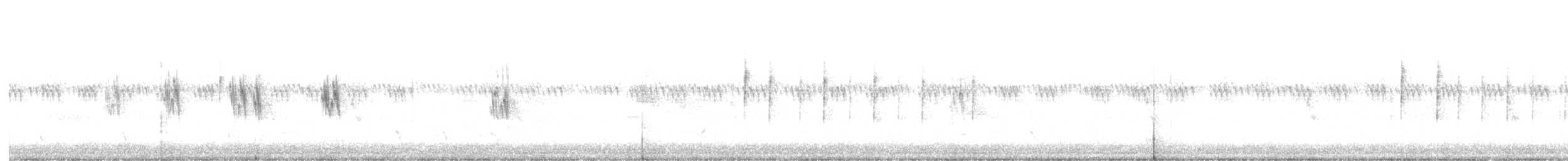 křepel kalifornský - ML584330131