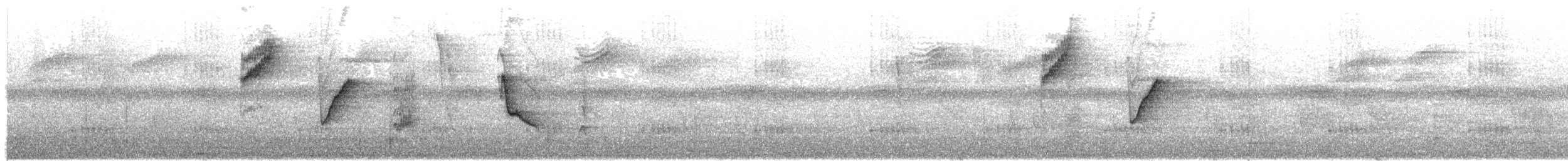 Белокрылая сорокопутовая танагра - ML584439581