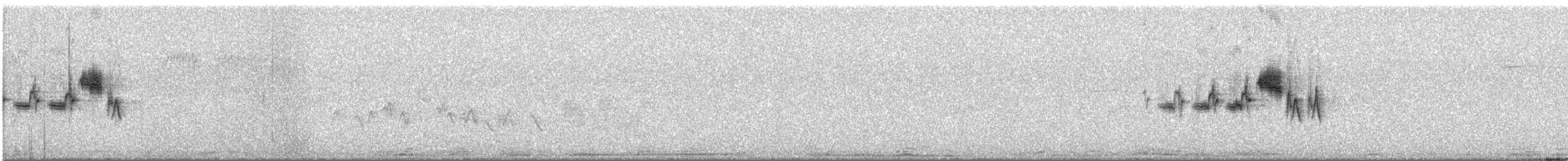 Black-throated Gray Warbler - ML584450041
