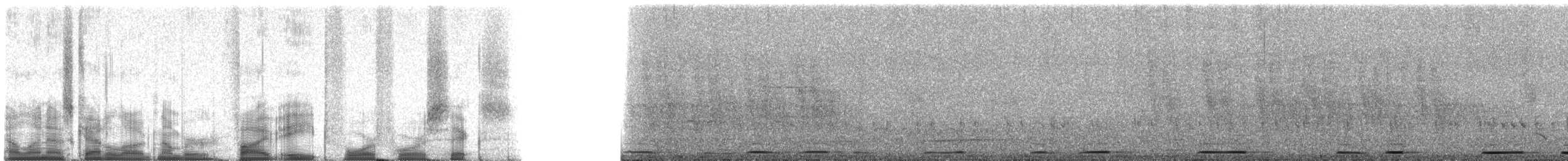 Bronzeflecktaube - ML58446