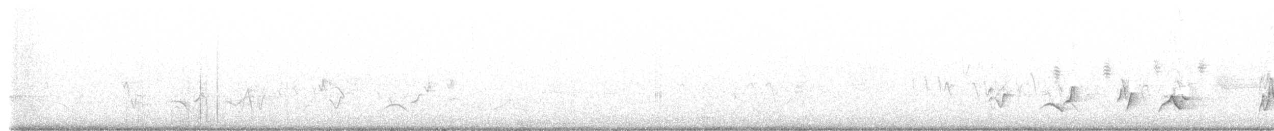 Черноголовый толстонос - ML584460561
