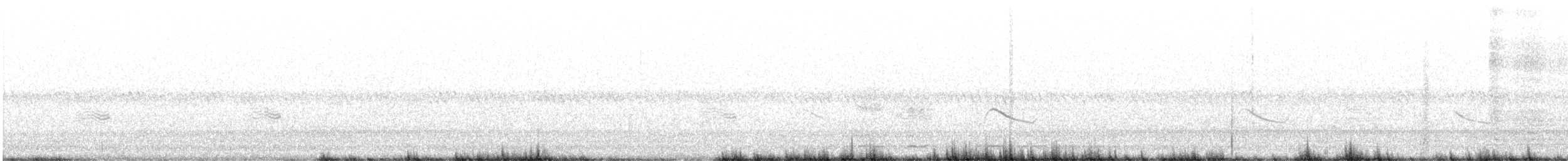 Ring-necked Pheasant - ML584463921