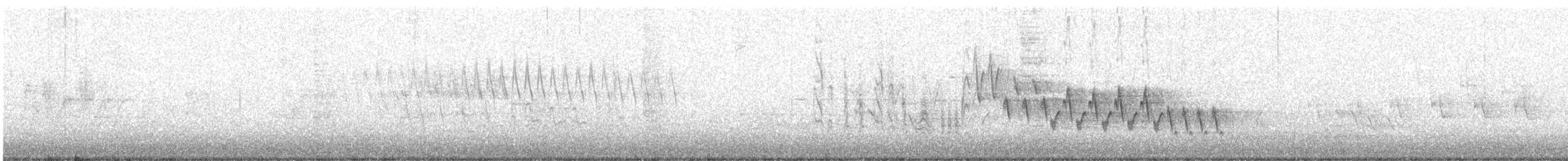 Northern House Wren - ML58447051