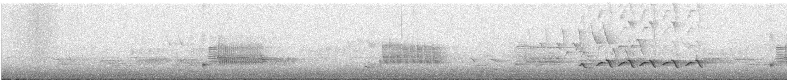 Baltimore Oriole - ML58447341