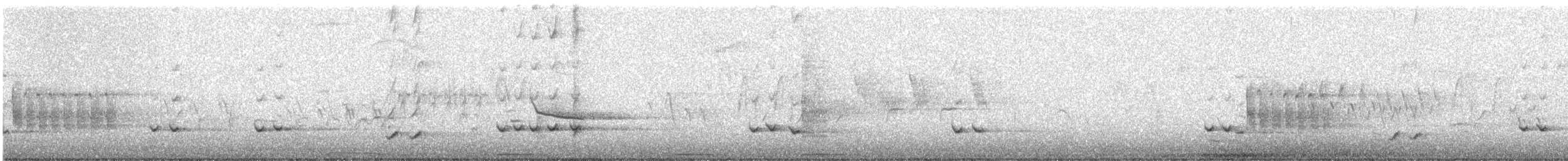 Baltimore Oriole - ML58447371