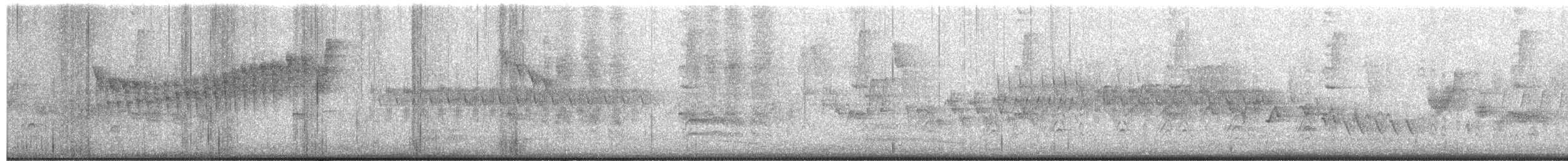 Northern Parula - ML584475511