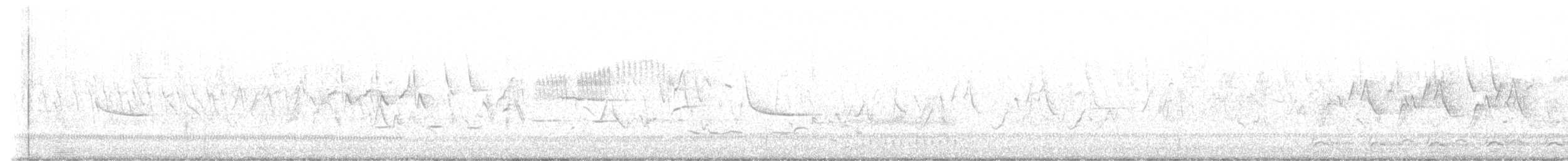 Common Tern - ML584479161
