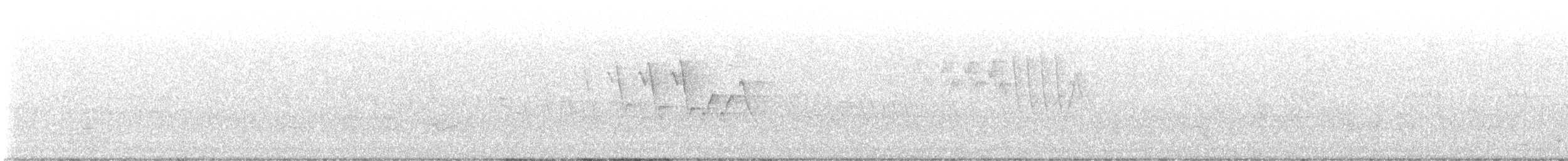 strakapoud osikový - ML584530161