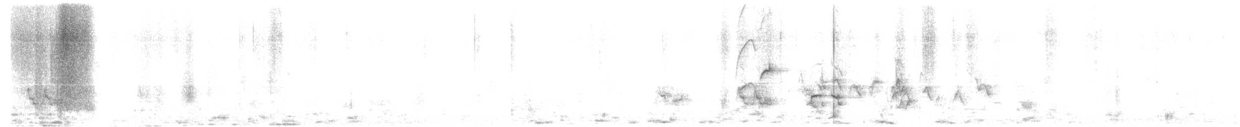 Batı Amerika Sinekkapanı (occidentalis/hellmayri) - ML584542851