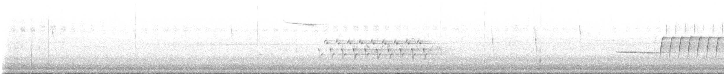 Bachman's Sparrow - ML584543341