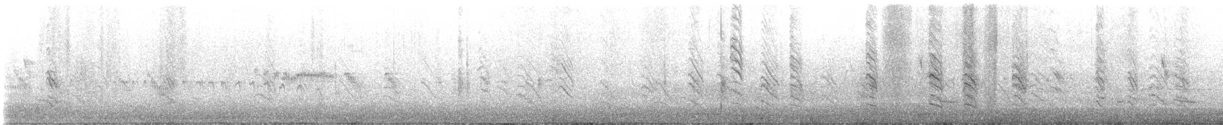 mursvale (pyrrhonota gr.) - ML584574171