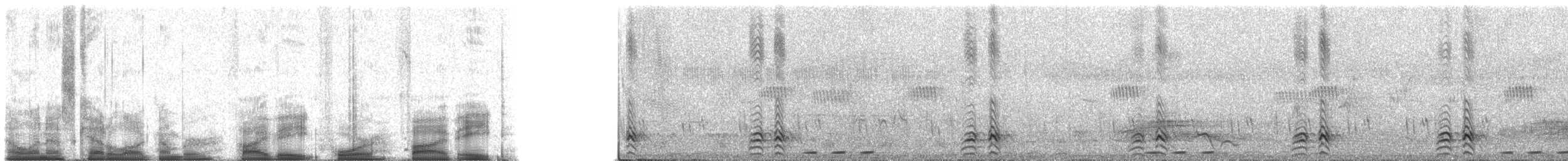 Purple Roller - ML58458