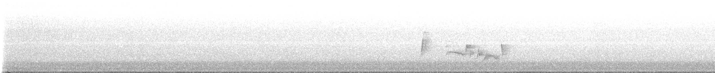 Weißaugenvireo - ML584582351