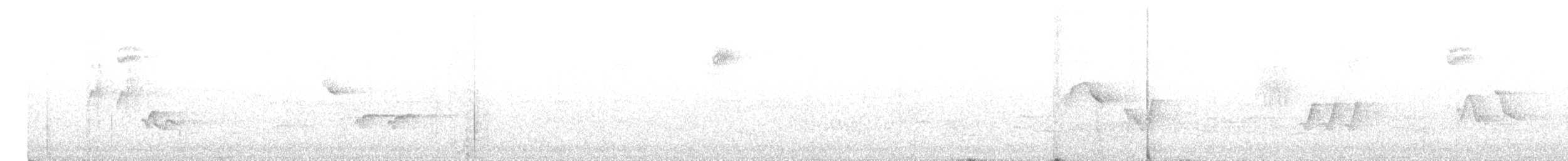 Red-eyed Vireo - ML584596881