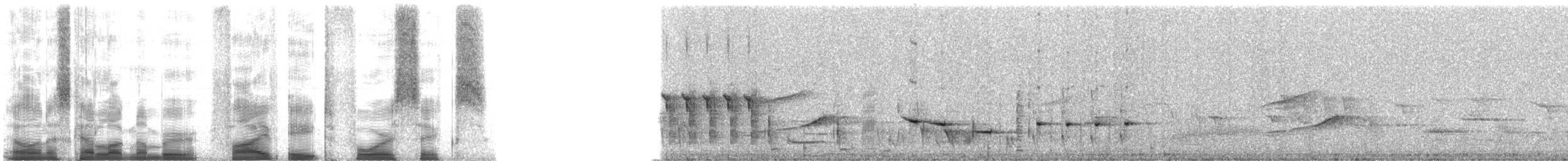 Picchion cramoisi - ML5846