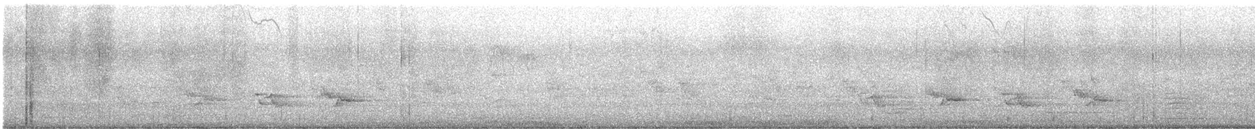 lesňáček černobílý - ML584617511