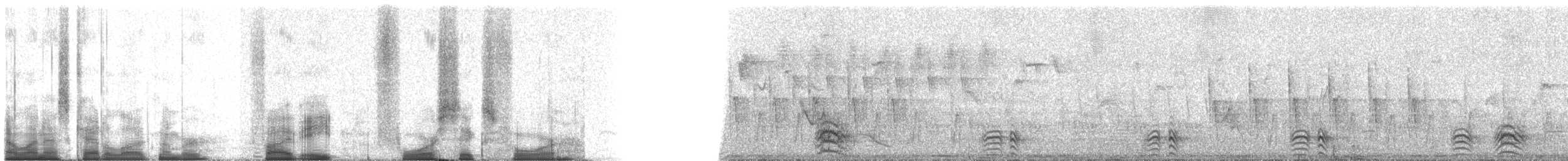 Purple Roller - ML58464