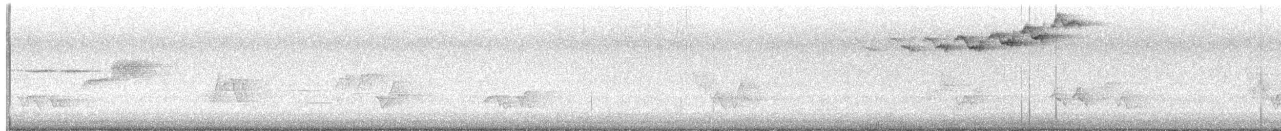 Black-throated Green Warbler - ML584649521