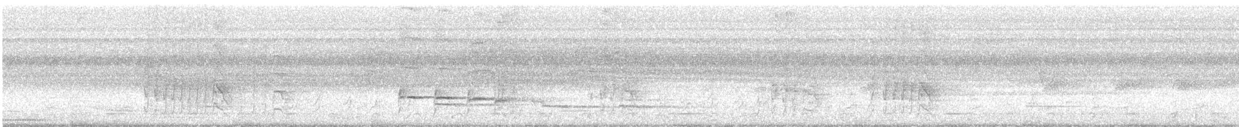 ヒメテンニョゲラ - ML584653131