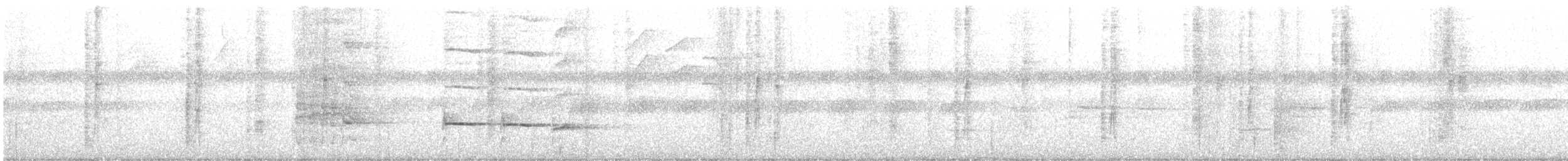 ヒメテンニョゲラ - ML584654621
