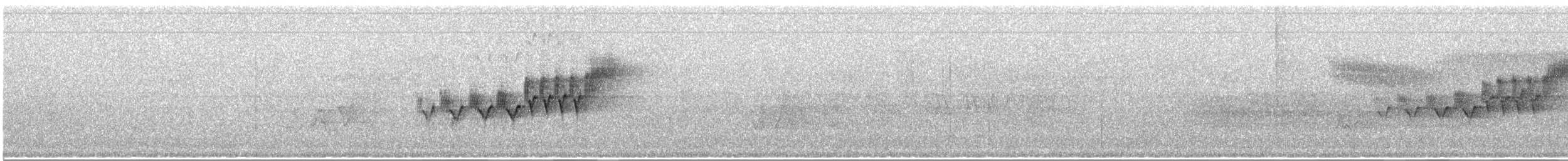 Cerulean Warbler - ML584670251