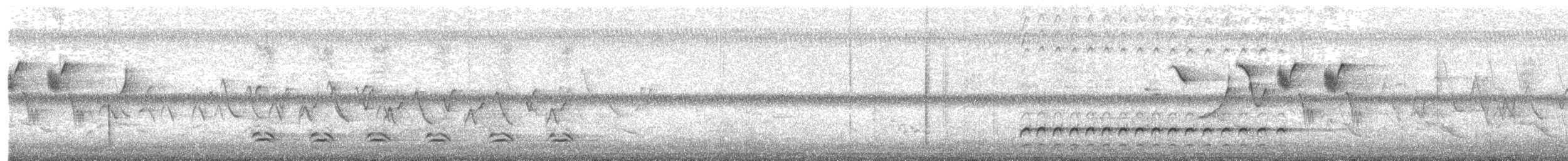 オオアメリカムシクイ - ML584671761