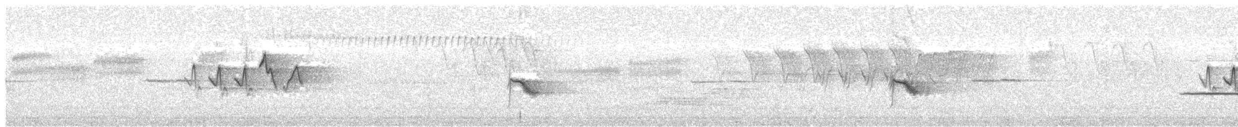 Дрізд-короткодзьоб канадський - ML584675311