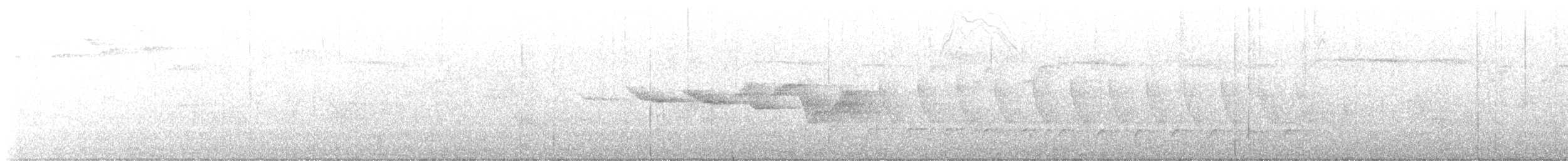 Swainson's Warbler - ML584722241