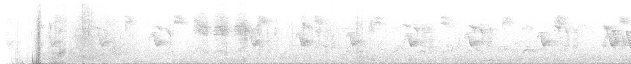 Hutton's Vireo - ML584722571