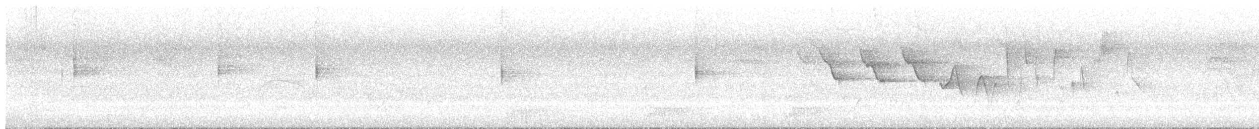 Трясогузковый певун - ML584725111