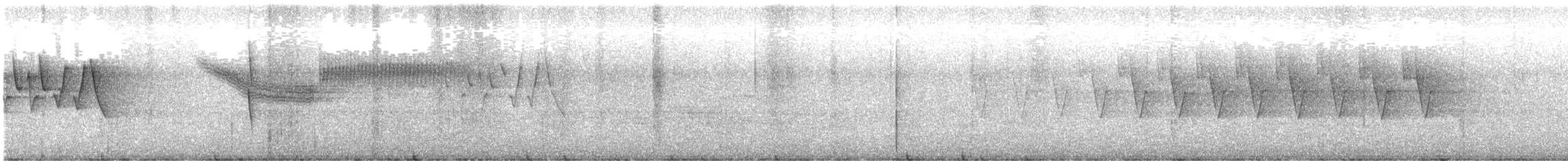 Желтокрылая x Голубокрылая червеедка (гибрид) - ML584734991