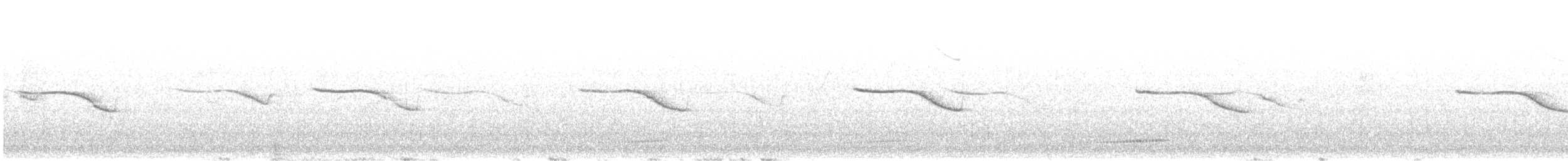 Uzun Gagalı Çobanaldatan (ruficervix) - ML584757321