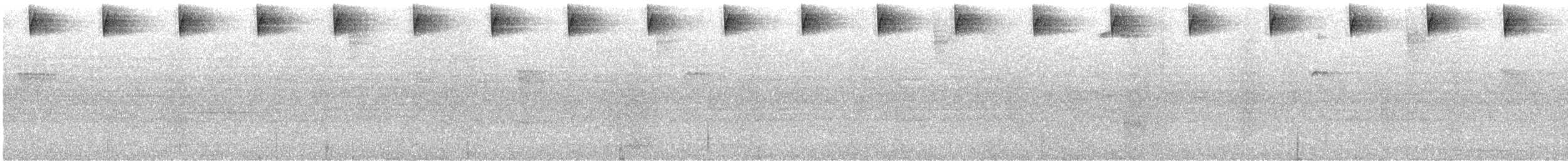 Колібрі плямистоволий (підвид maculata) - ML584762851