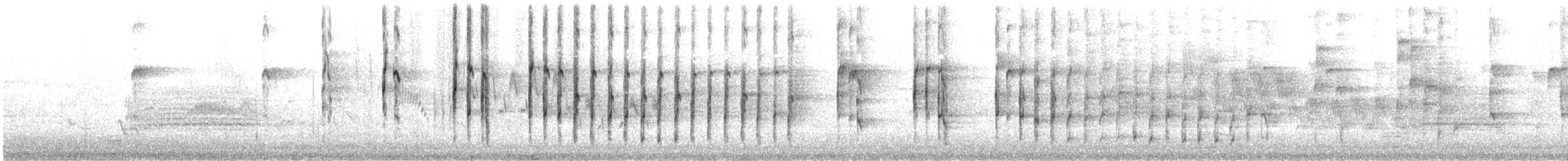 Lewis's Woodpecker - ML584764811