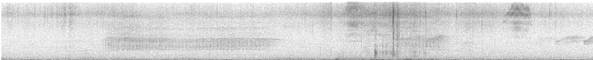 Belted Kingfisher - ML584775071